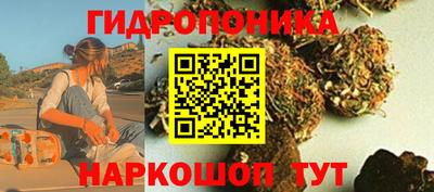 Альфа ПВП Пенза