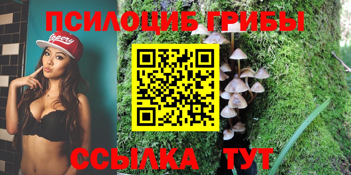 Северск  Галлюциногенные грибы прущие грибы  Вход с VPN 